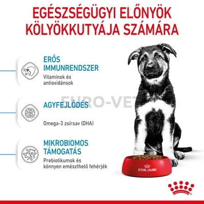 ROYAL CANIN MAXI PUPPY - nagytestű kölyök kutya száraz táp 12 kg