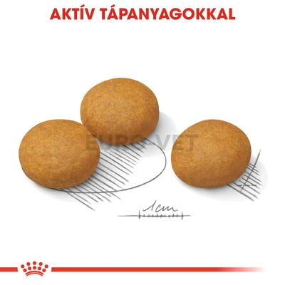 Royal Canin Maxi Dermacomfort 12 kg
