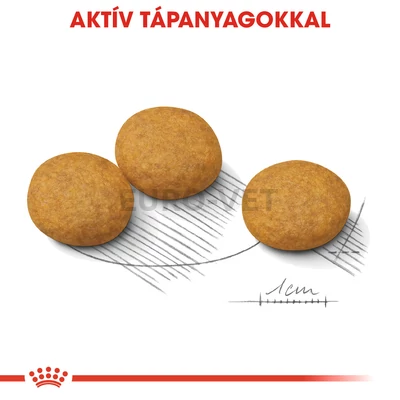 Royal Canin Medium Dermacomfort 3 kg