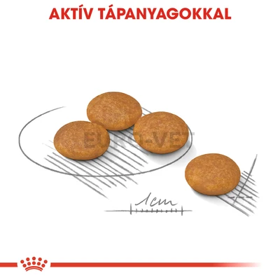 ROYAL CANIN MINI DERMACOMFORT - száraz táp bőrirritációra hajlamos, kistestű felnőtt kutyák részére 8 kg