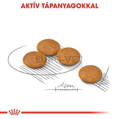 Royal Canin Mini Dermacomfort 8 kg