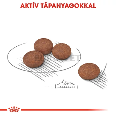 ROYAL CANIN MINI DIGESTIVE CARE - száraz táp érzékeny emésztésű, kistestű felnőtt kutyák részére 8 kg