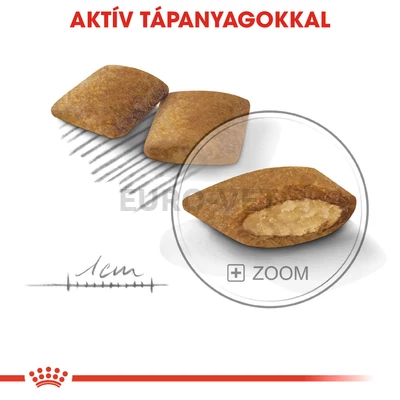 ROYAL CANIN MINI EXIGENT - száraz táp válogatós, kistestű felnőtt kutyák részére 3 kg