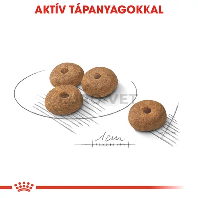ROYAL CANIN MINI STERILISED - száraz táp ivartalanított, kistestű felnőtt kutyák részére 3 kg