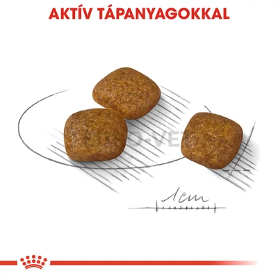 ROYAL CANIN MINI URINARY CARE - SZÁRAZ TÁP ÉRZÉKENY HÚGYRENDSZERŰ, KISTESTŰ FELNŐTT KUTYÁK RÉSZÉRE 1 kg