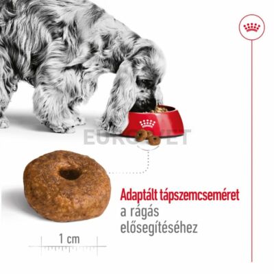 Royal Canin Medium Ageing 10+ (15 kg)