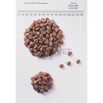 Royal Canin Pediatric Junior Dog 10 kg
