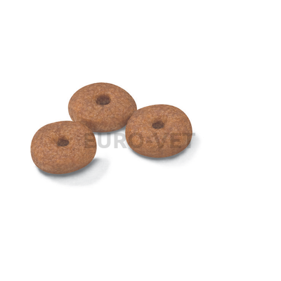 Royal Canin Mini Ageing 12+ (1,5 kg)