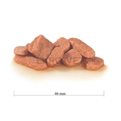 Royal Canin Neutered Weight Balance WET 100 g