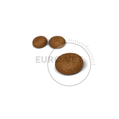 ROYAL CANIN HAIR & SKIN CARE - száraz táp felnőtt macskák részére a szebb szőrzetért és az egészséges bőrért 0,4 kg
