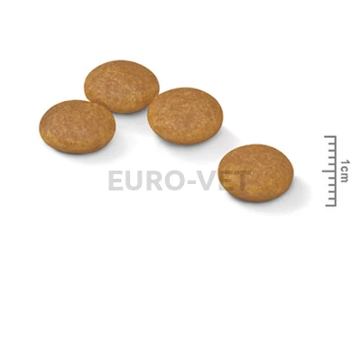 ROYAL CANIN MINI DERMACOMFORT - száraz táp bőrirritációra hajlamos, kistestű felnőtt kutyák részére 1 kg