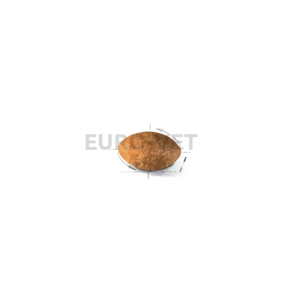 Royal Canin Persian ADULT 4 kg