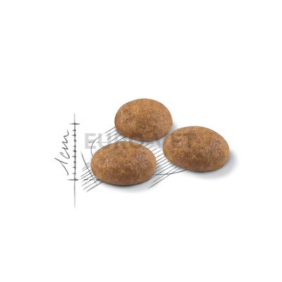 Royal Canin Outdoor 30 (10 kg)