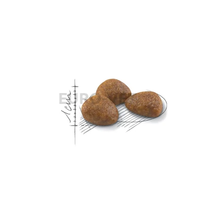 Royal Canin Outdoor 7+ (2 kg)