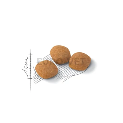 Royal Canin Protein Exigent 42 (400 g)