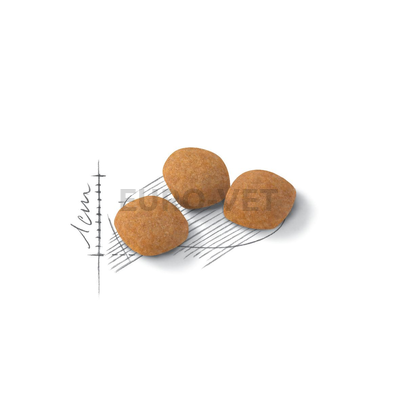 Royal Canin Protein Exigent 42 (10 kg)