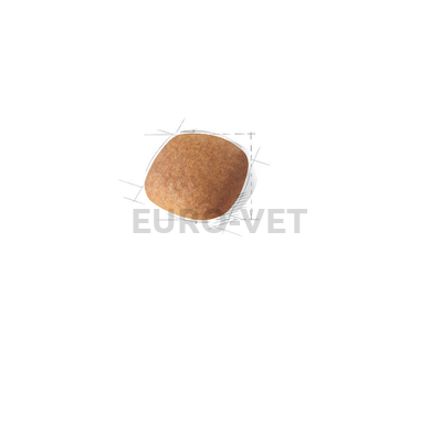 Royal Canin Bichon Frise Adult 0,5 kg