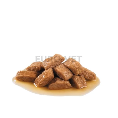 Royal Canin Medium Ageing 10+ - közepes testű idős kutya száraz táp 0,140 kg