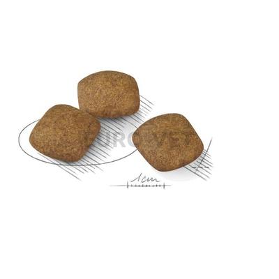 Royal Canin Medium Relax Care - száraz táp stresszre érzékeny, közepes testű felnőtt kutyák részére 10 kg