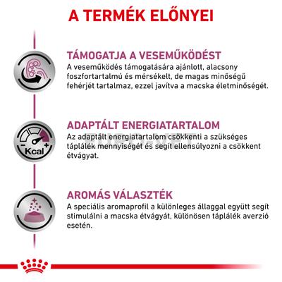 Royal Canin Renal Loaf - nedves gyógytáp vesebeteg felnőtt macskák részére  85 g