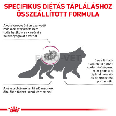 Royal Canin Renal Special Feline Dry 2 kg