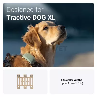 Tractive DOG XL (TG4XL) Gumicsipesz rögzítő