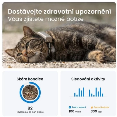 Tractive CAT Mini nyomkövető macskáknak 3 kg felett aktivitásmérővel barna színben biztonsági nyakörvvel TRCAT5BR