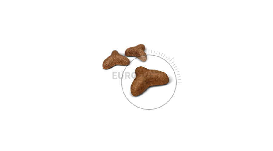 Low Ash Cat Food Kibble Low Ash Cat Food Kibble
