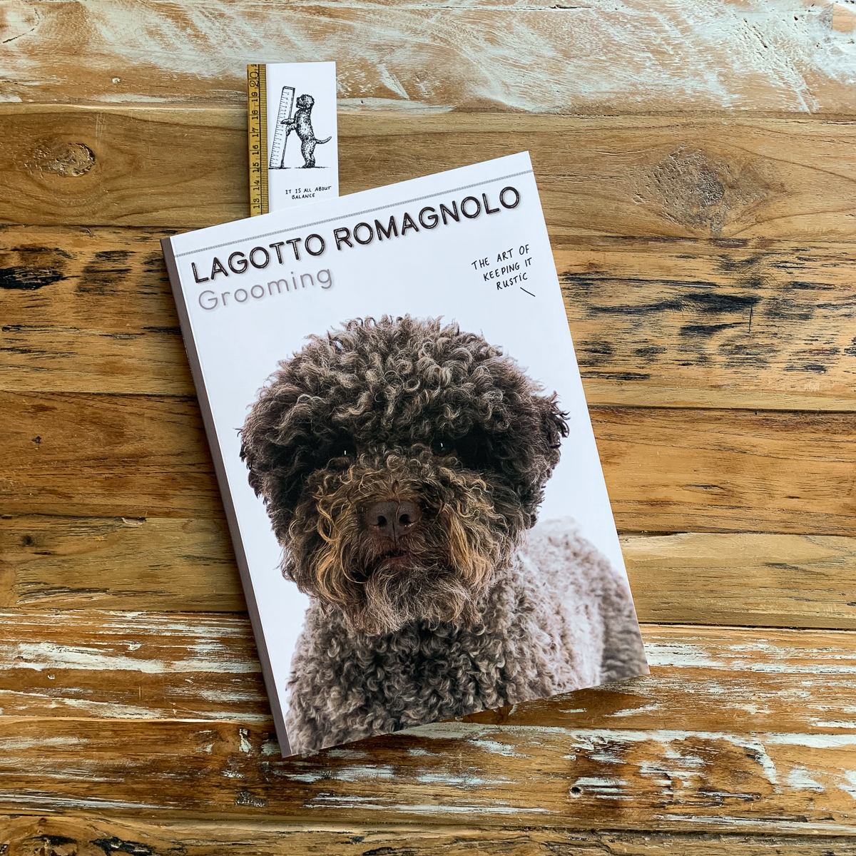 Lagotto best sale lady grooming