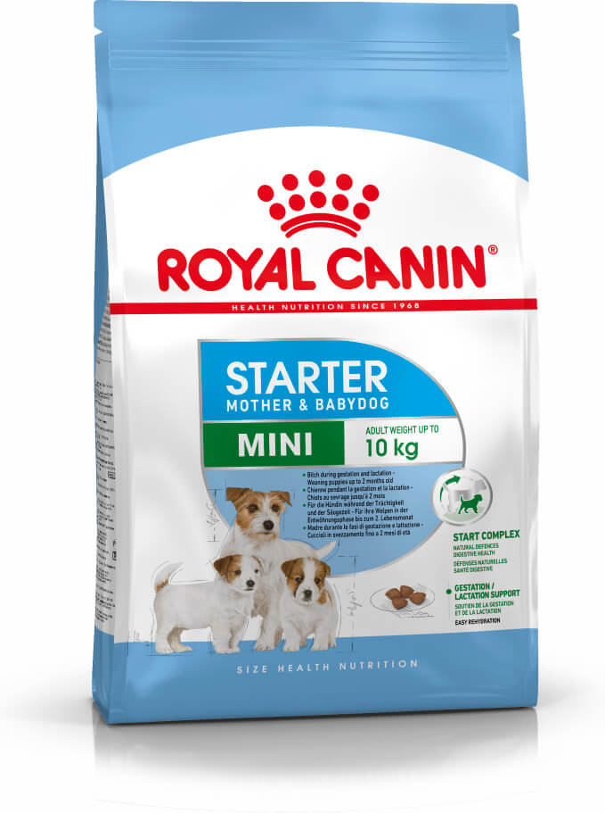 royal mini starter