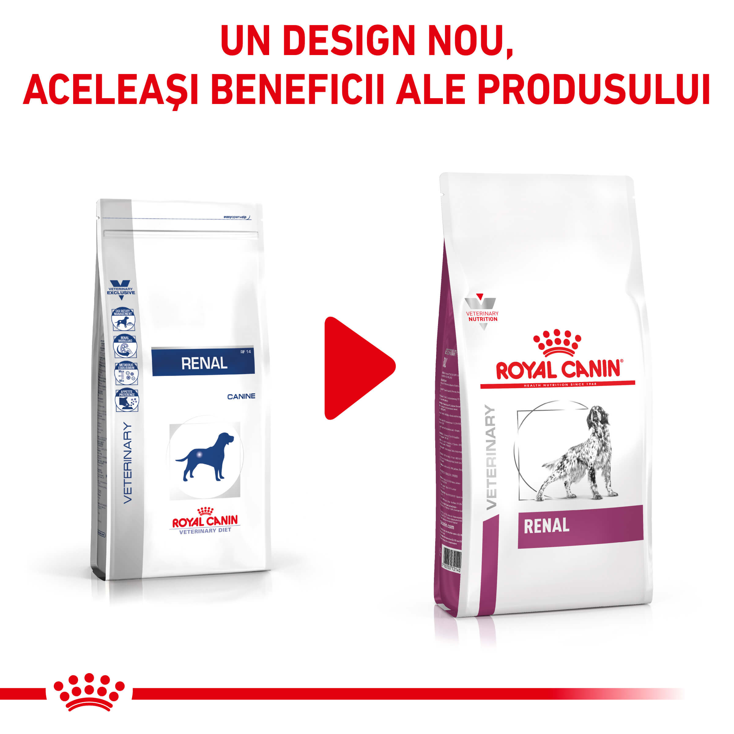 royal canin renal dog 14kg