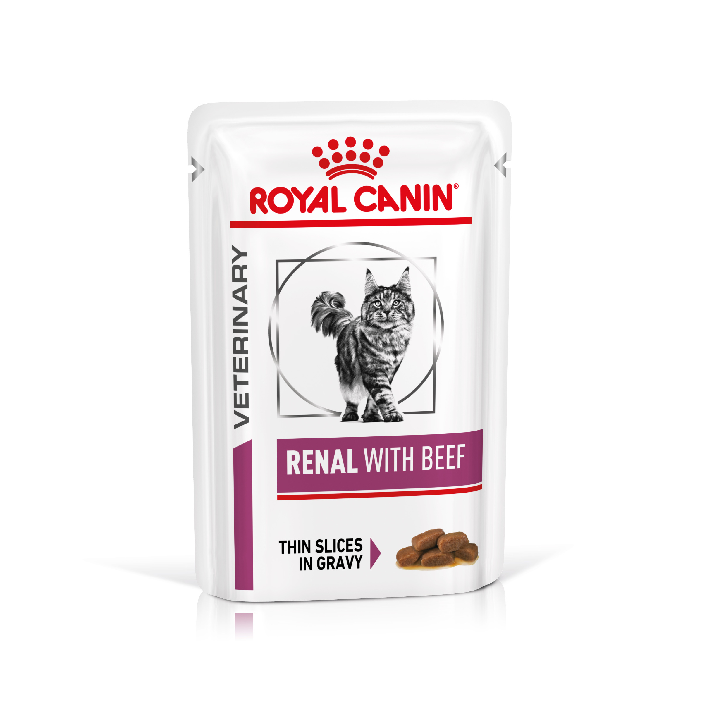 royal canin renal cat food pouches