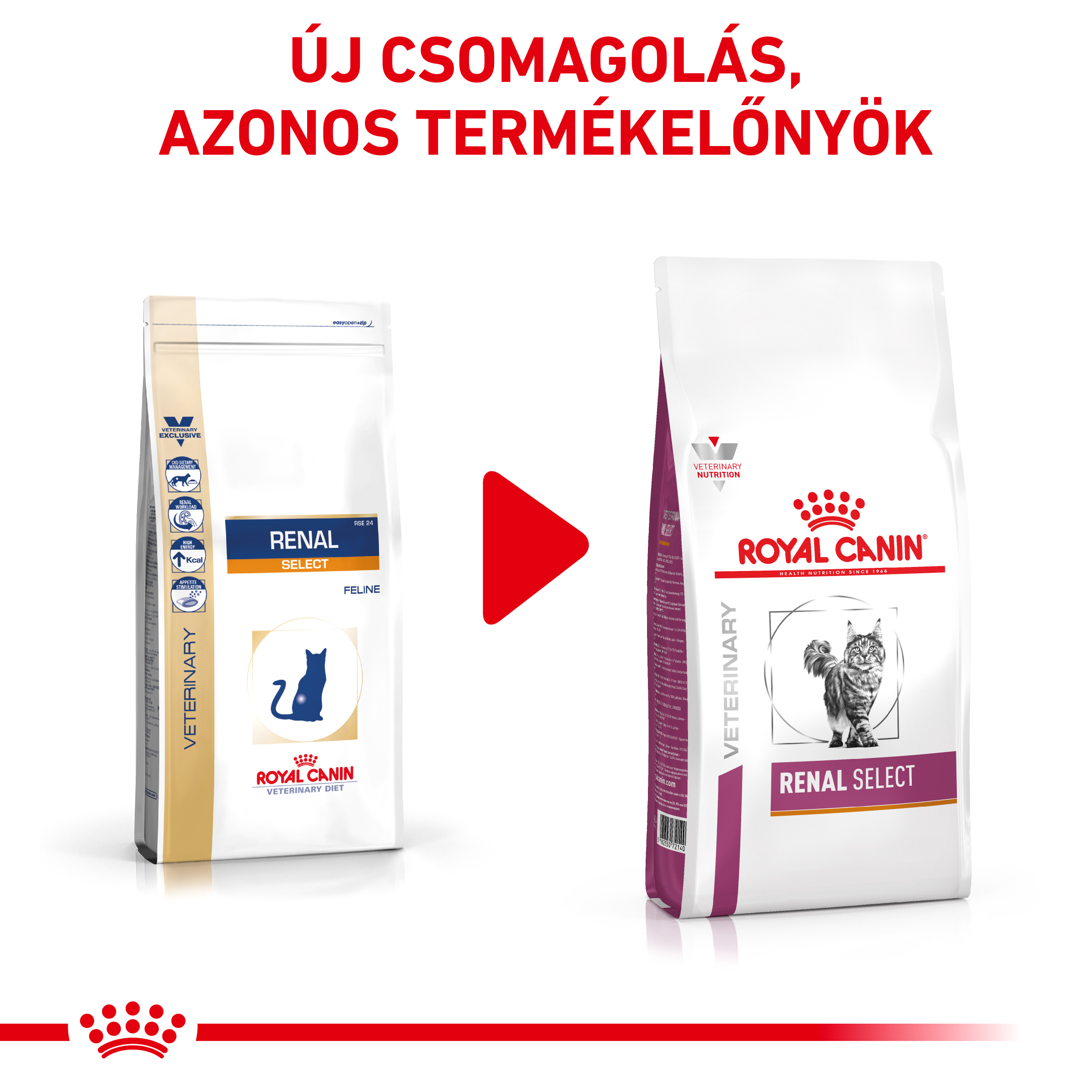 royal canin renal select cat food